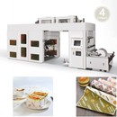 Automatic Flexo Printing Press Machine